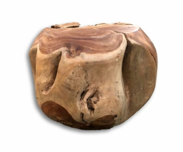 Teak Root Side Table – Natural