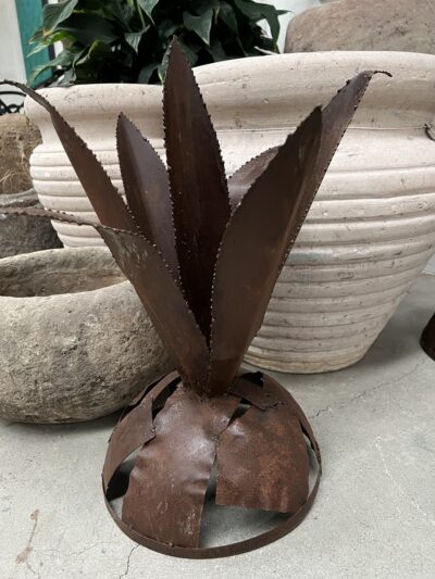 Cactus Medium – 50 cm