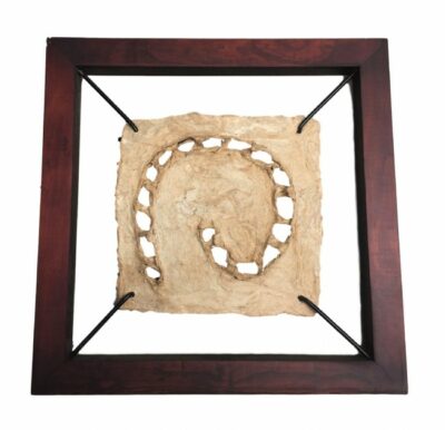 Caracol 30cm tule with solid teak frame 51cm