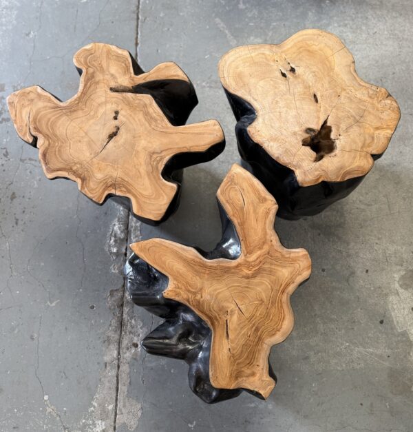 Organic shaped Stump Side table – Natural and Black
