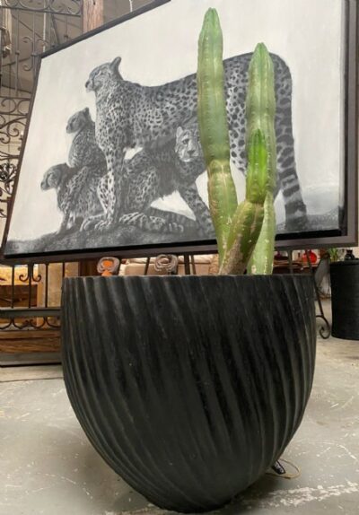 Palm Pot  Swirl –  Black approx 50 – 60cm dia cm –