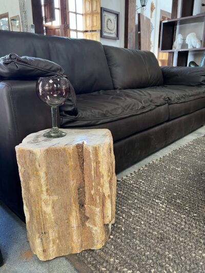 Petrified Wood Side Table – Top Polish