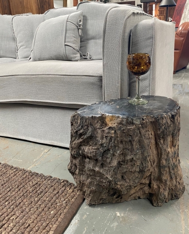 Petrified Wood Side Table Rustic Black Style – Rare