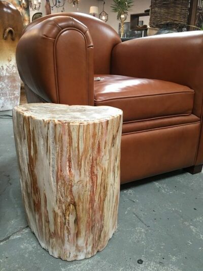 Petrified Wood Side table