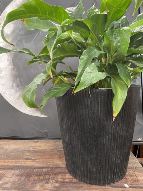 Planter Pot Hand-carved Matt Black