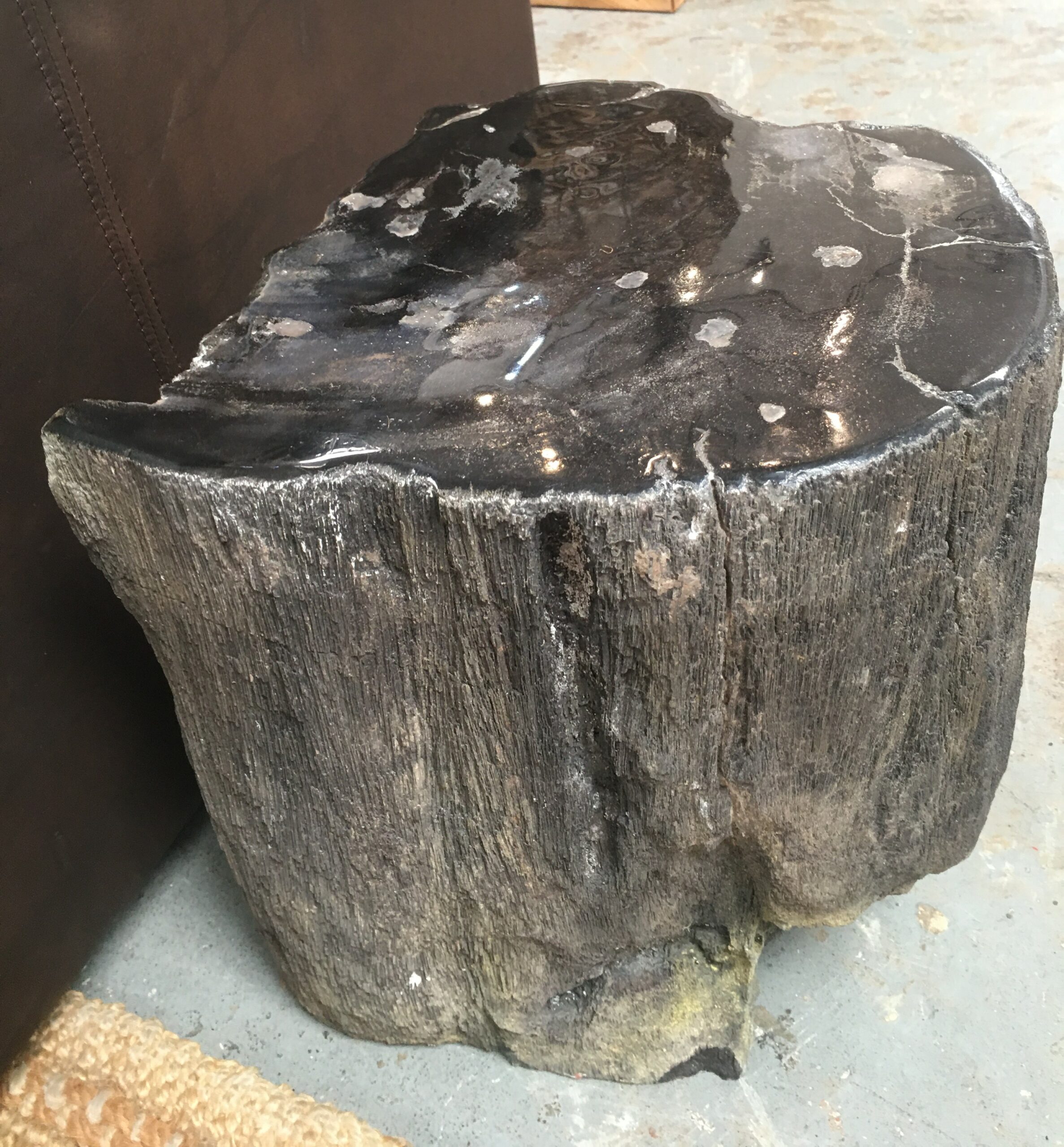 Petrified wood Occasional Rare black LA Imports