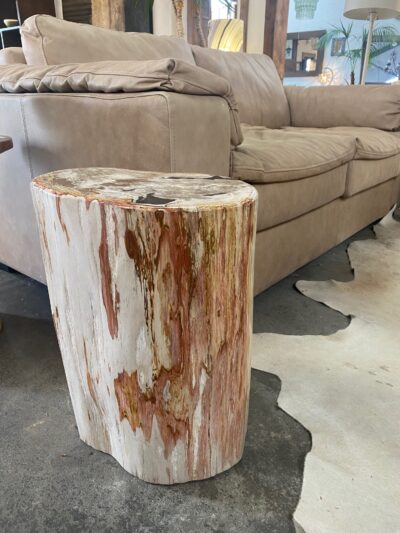 Petrified Wood Occasional Table