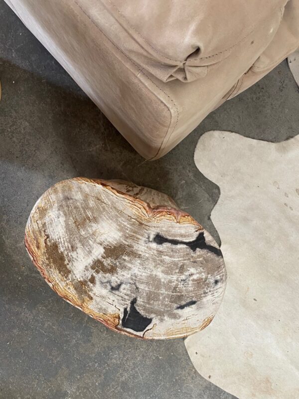 Petrified Wood Occasional Table