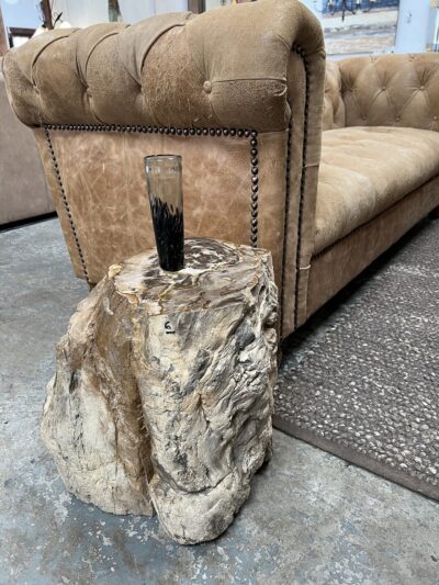 Petrified Wood Occasional Table