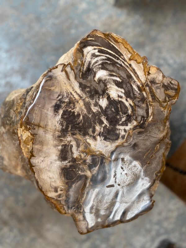 Petrified wood Occasional 26*35*40cm 91kgs