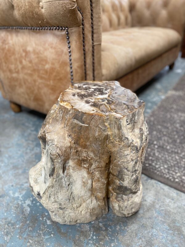 Petrified wood Occasional 26*35*40cm 91kgs