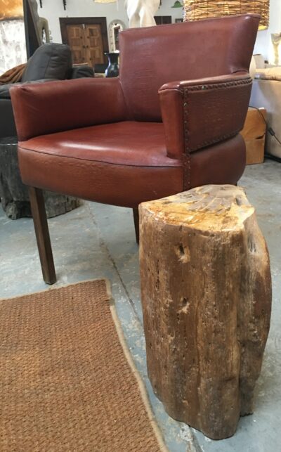 Petrified Wood Occasional