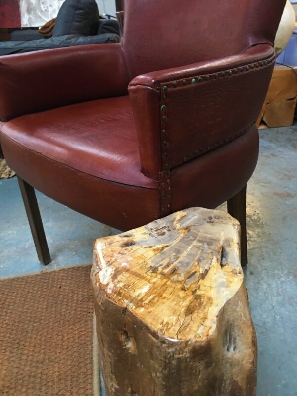 Petrified Wood Occasional