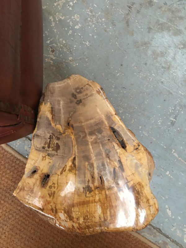 Petrified wood Occasional 30*29 *45cm  58kgs