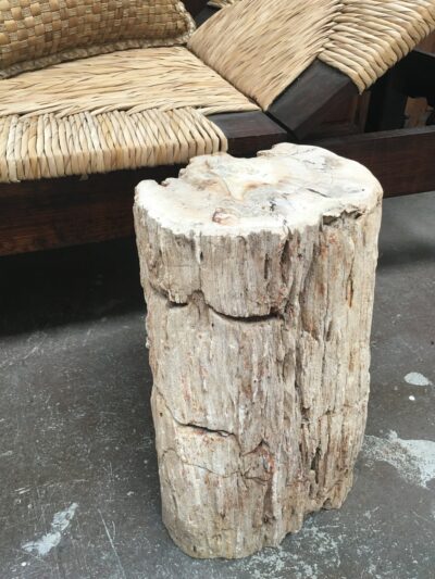 Petrified wood Occasional