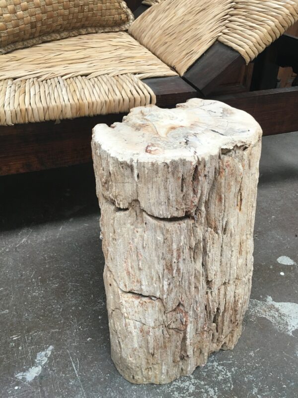 Petrified wood Occasional 24*19*40  34kgs