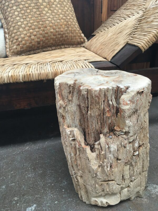 Petrified wood Occasional 24*19*40  34kgs