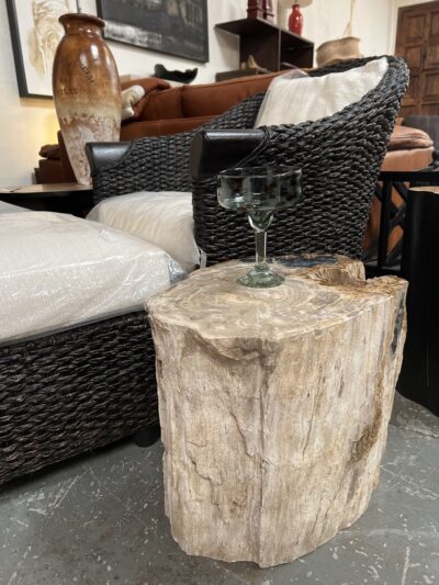 Petrified Wood Occasional Table