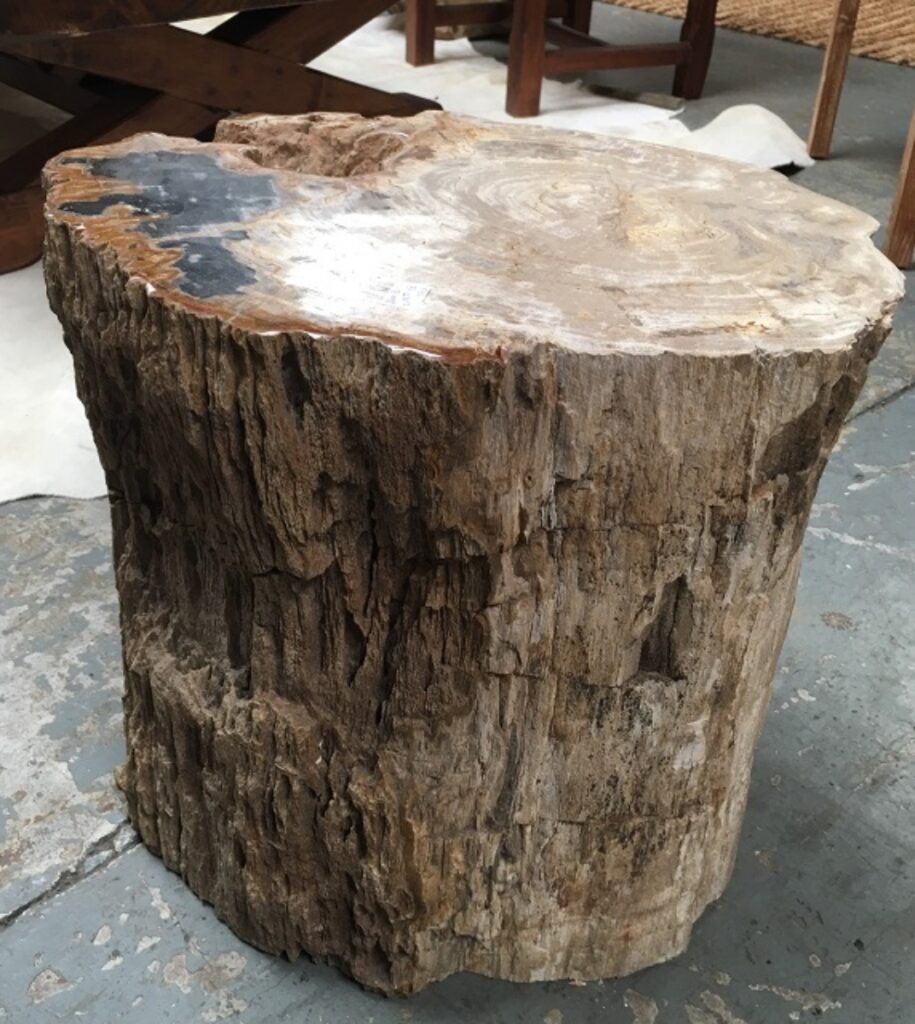 Petrified Wood Occasional Table LA Imports