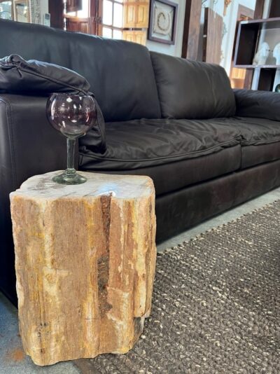 Petrified Wood Side Tables